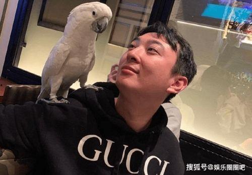 王思聪今日史诗级爆料,揭秘娱乐圈不为人知的秘密